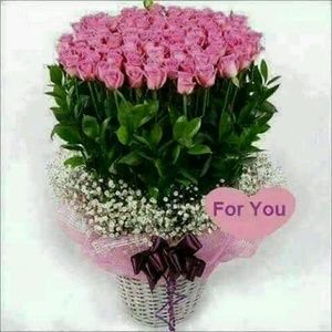 Meet your Posher, Roxanne